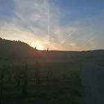 Felten In *