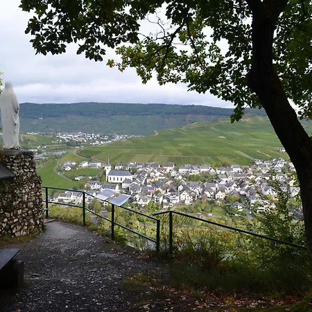 Felten In