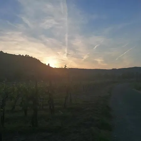 Felten In *