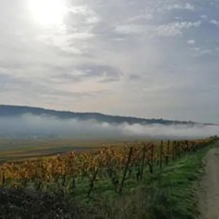 Felten In Minheim
