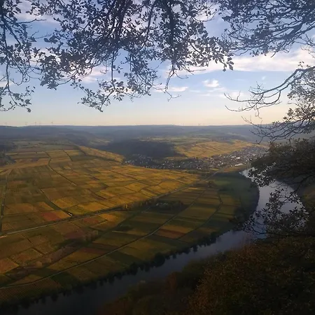 Felten In *