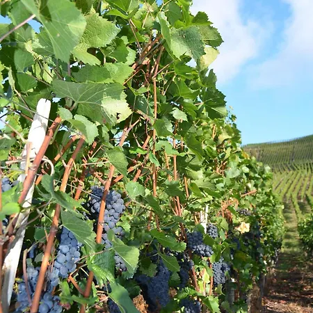 Felten In Appartement *