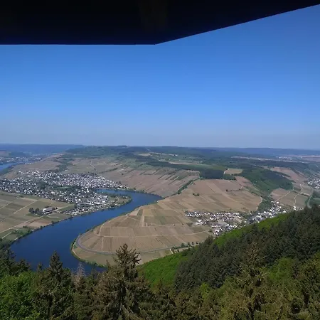Felten In * Minheim