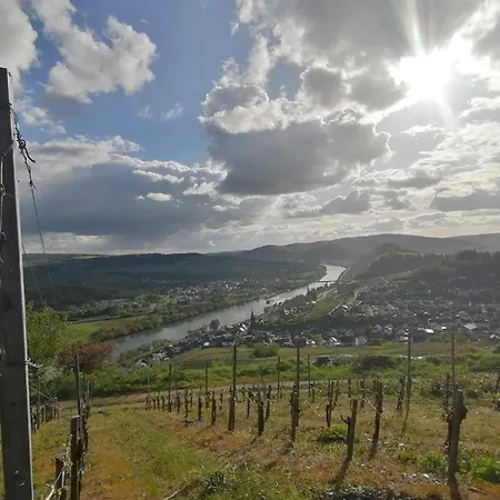 Appartement Felten In *