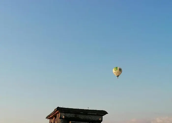 Felten In Apartment *