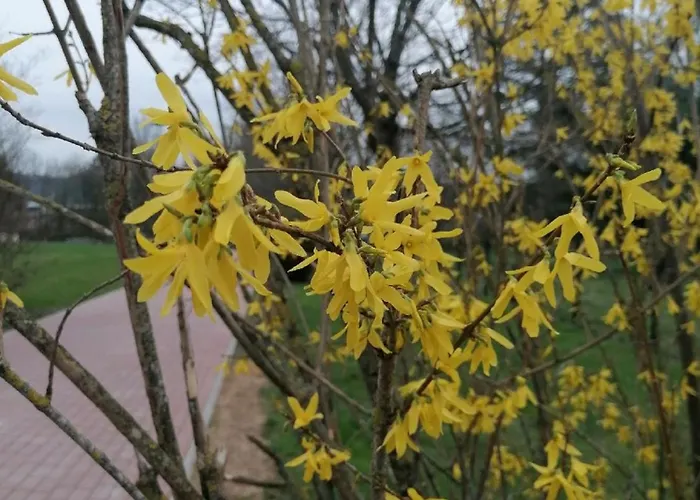 Apartment Felten In Minheim